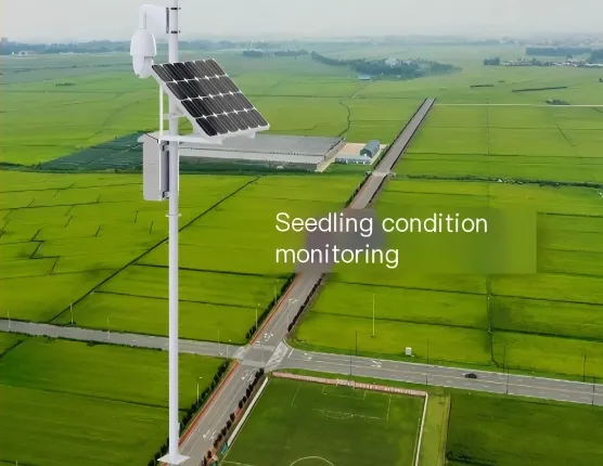 hc7 seedling condition monitoring station