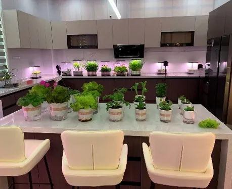 Grow Your Own Farm at Home? HydroBlue Hydroponic Tech Brings Freshness & Greenery to Your Life!