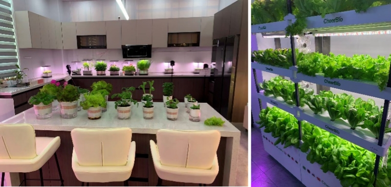 hydroblue-hydroponic-tech-brings-freshness-greenery-to-your-life-1.jpg hydroblue-hydroponic-tech-brings-freshness-greenery-to-your-life-1.jpg