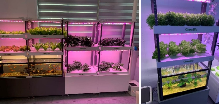 hydroblue-hydroponic-tech-brings-freshness-greenery-to-your-life-2.jpg hydroblue-hydroponic-tech-brings-freshness-greenery-to-your-life-2.jpg