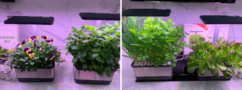 hydroblue-hydroponic-tech-brings-freshness-greenery-to-your-life-3.jpg hydroblue-hydroponic-tech-brings-freshness-greenery-to-your-life-3.jpg