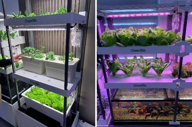 hydroblue-hydroponic-tech-brings-freshness-greenery-to-your-life-4.jpg hydroblue-hydroponic-tech-brings-freshness-greenery-to-your-life-4.jpg