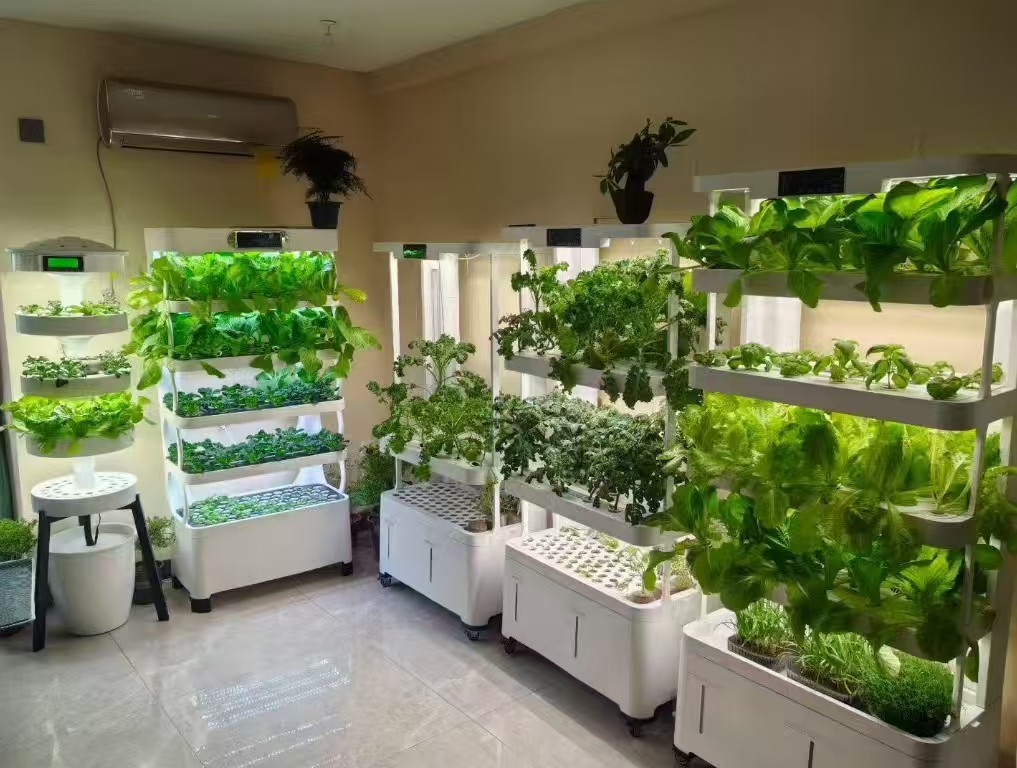 hydroponics-growing-the-future-in-limited-space-2.jpg