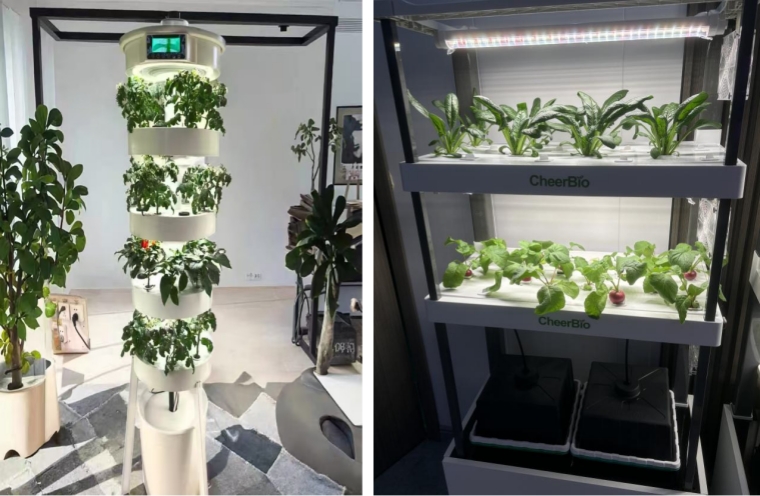 hydroponics-growing-the-future-in-limited-space-3.jpg