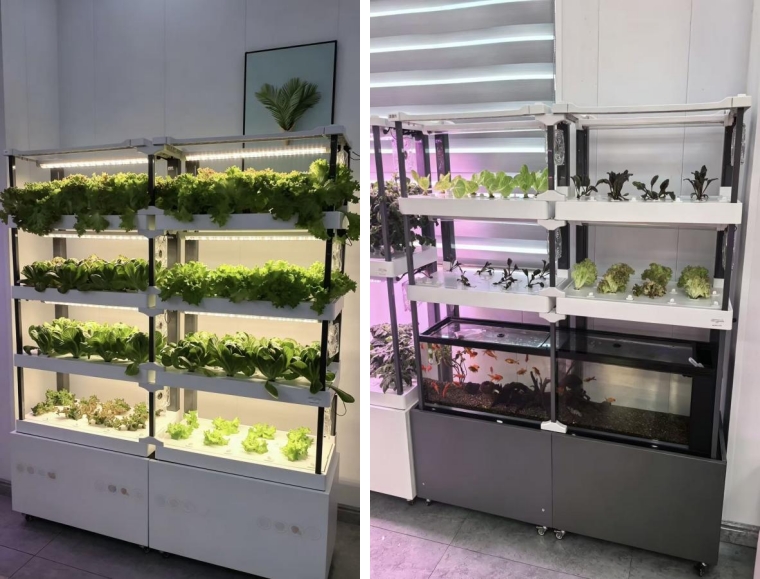 hydroponics-growing-the-future-in-limited-space-4.jpg