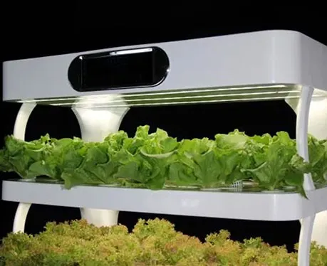 Unlocking the Future of Farming: Top Hydroponic Equipment Suppliers in the U.S.